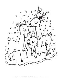 reindeer coloring page
