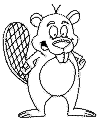 view beaver teeth.GIF