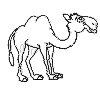 view camel.GIF