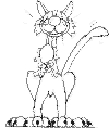 view cat mouse