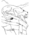 view cougar.GIF