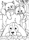 view dog cat.GIF