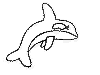 view dolphin