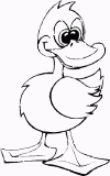 view duck