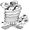 view eel