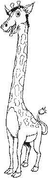 view giraffe