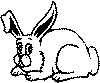 view rabbit
