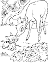 view bambi baby.GIF