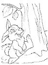 view bambi rabbit.GIF