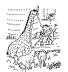 view noahs ark coloring page