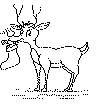 view reindeer