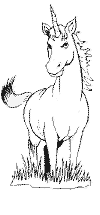 view unicorn with beard.GIF