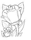 view big flower.GIF