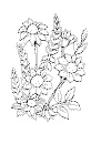 view coloring flowers.GIF