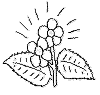 view flower with pedals.GIF
