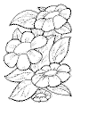 view flowers to color.GIF