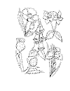 view flowers variety.GIF