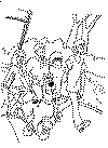 view scooby doo and friends