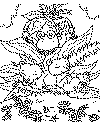 view thornberrys bears