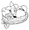 view piglet bird hatching.GIF