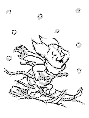 view piglet skiing.GIF