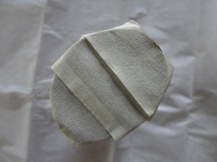 firecracker noisemaker craft