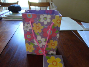 gift bag notebook craft