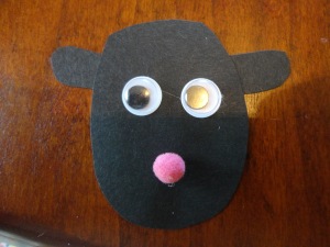 sheep face