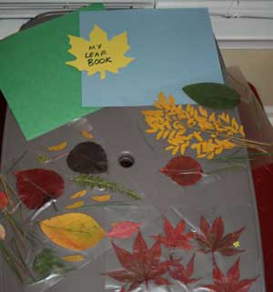 kids leaf book craft