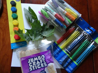 splendid-colored-leaf-display-materials