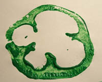 Bell Pepper Shamrock