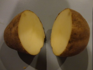 potato patterns craft