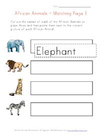african animals matching
