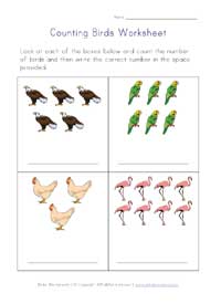 counting worksheet - birds