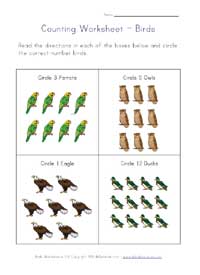 math worksheet - birds