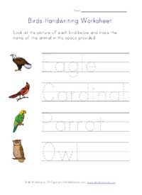 handwriting worksheet - birds