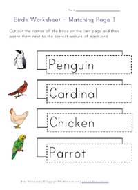 bird matching