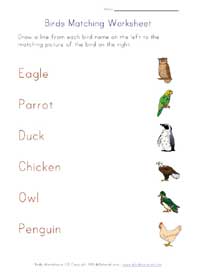 printable birds word matching