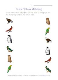 printable birds picture matching