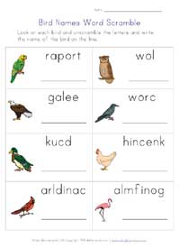 birds worksheet - word scramble