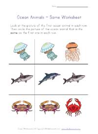 ocean life worksheet - same