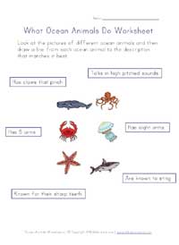 learn about ocean life worksheet