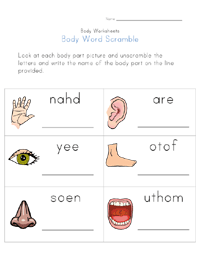 body parts worksheet