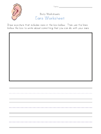 ears worksheet