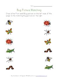 printable bugs picture matching