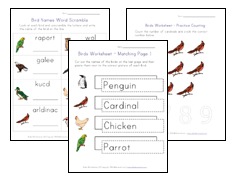 bird worksheets for kids