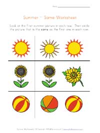 summer worksheet - same