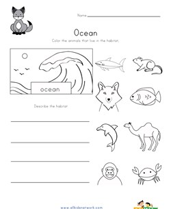 Ocean Animals Habitat Worksheet
