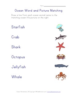 ocean life matching
