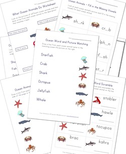 Ocean Animals Worksheets